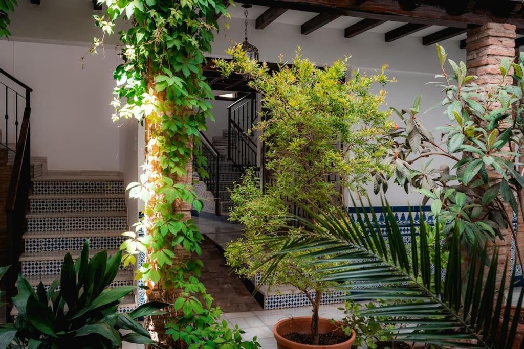 Ferienwohnung Qh Caldeleria Vieja Granada Exterior foto